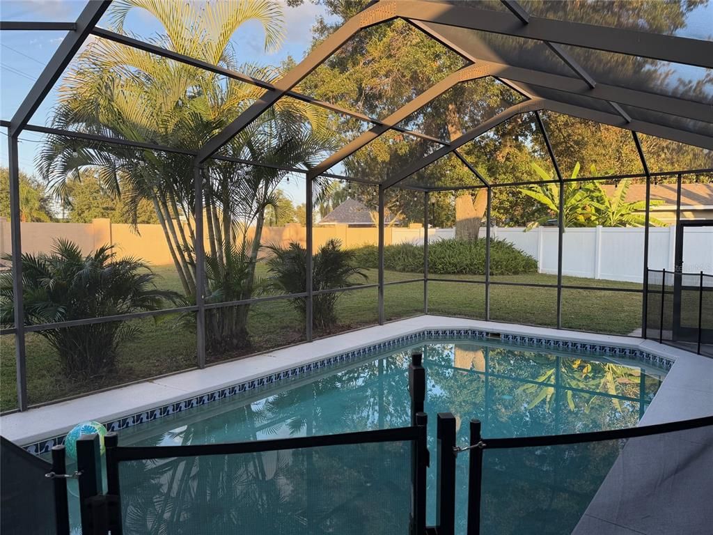 Glass Ceilings, Interior, Pool, Sun Room