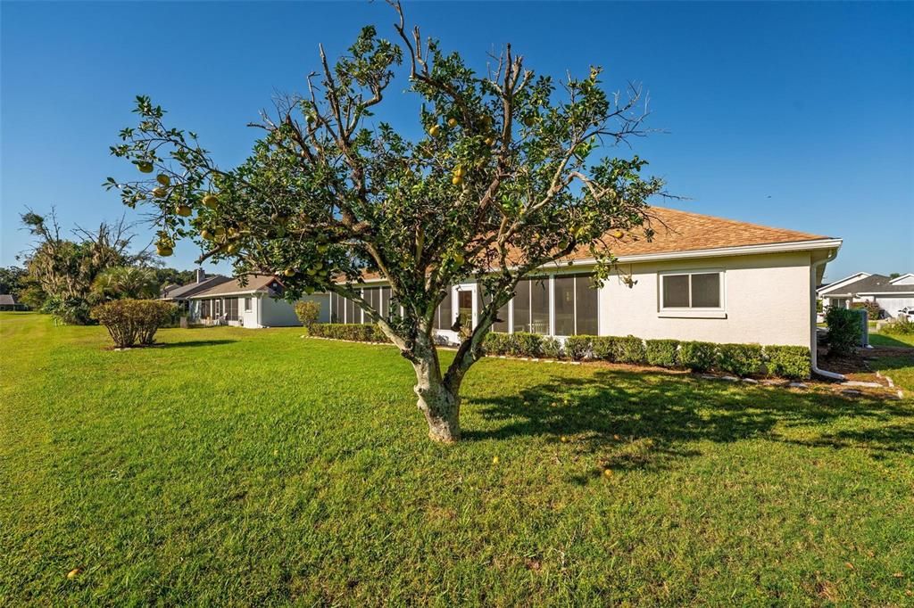 Backyard, Exterior