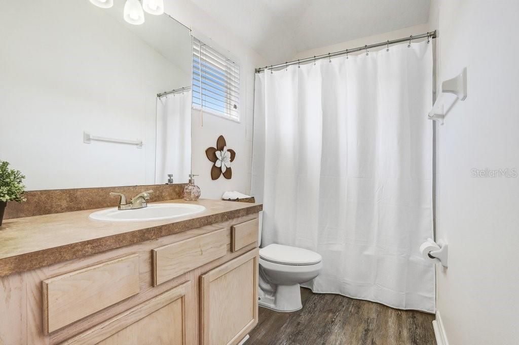 Bathroom, Interior, Wood Texture Flooring