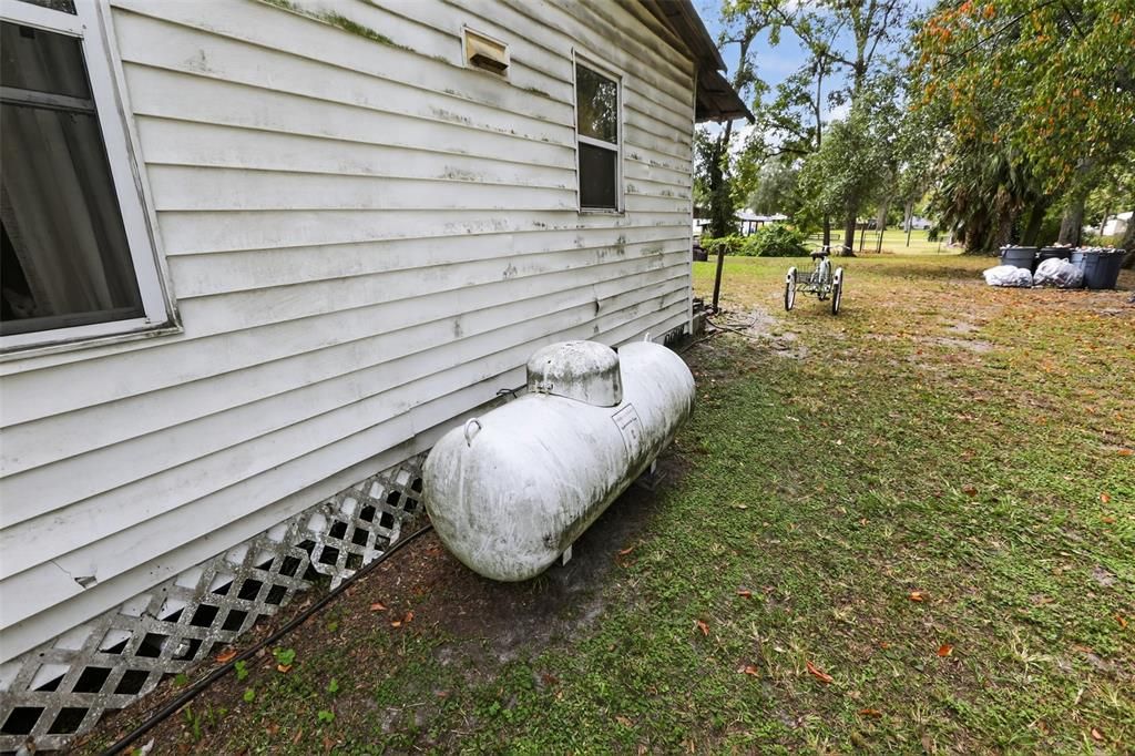 Backyard, Exterior