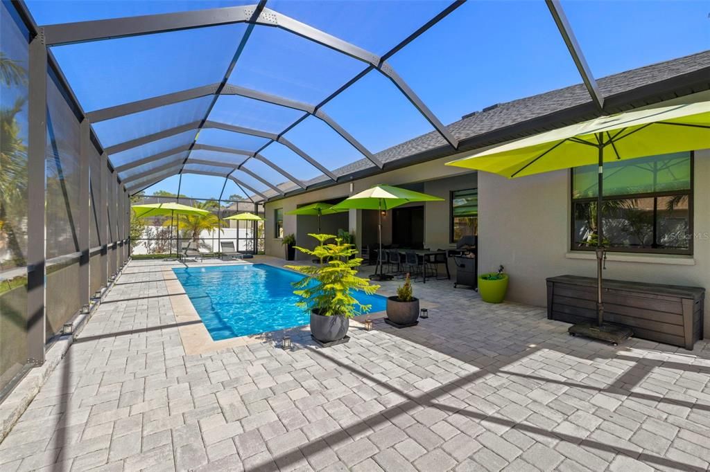 Glass Ceilings, Interior, Pool, Sun Room