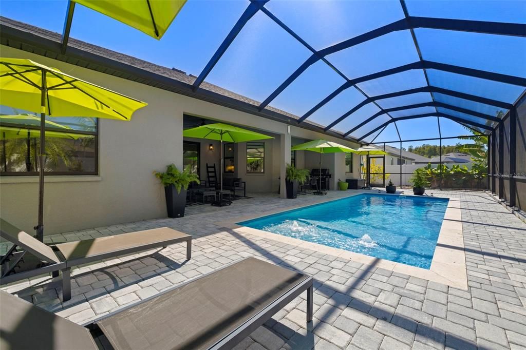 Glass Ceilings, Interior, Pool, Sun Room
