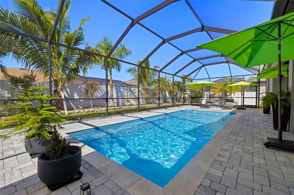 Glass Ceilings, Interior, Pool, Sun Room