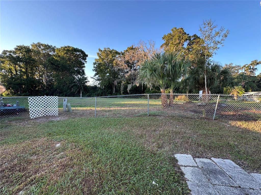 Backyard, Exterior