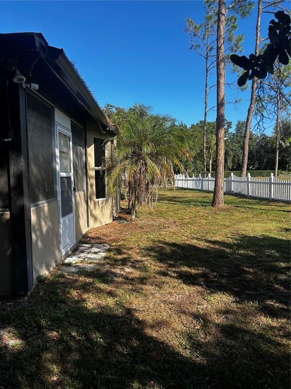 Backyard, Exterior