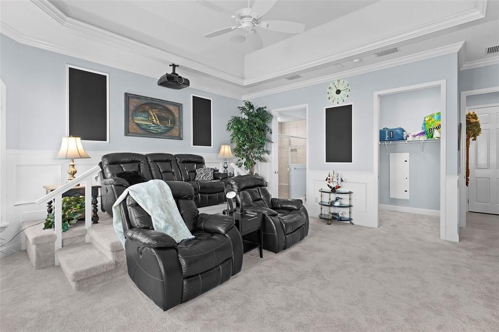Home Theatre Room, Interior, Living room