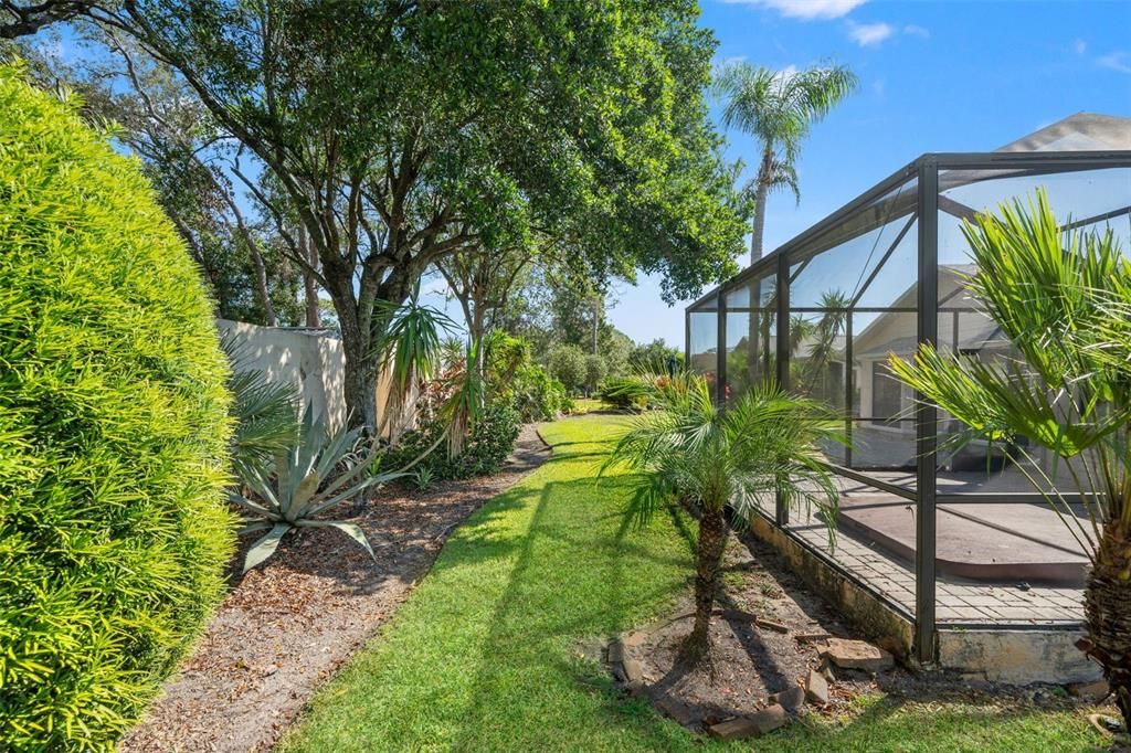Backyard, Exterior