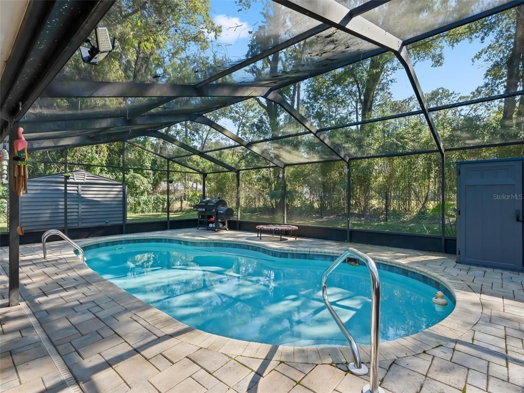 Glass Ceilings, Interior, Pool, Sun Room