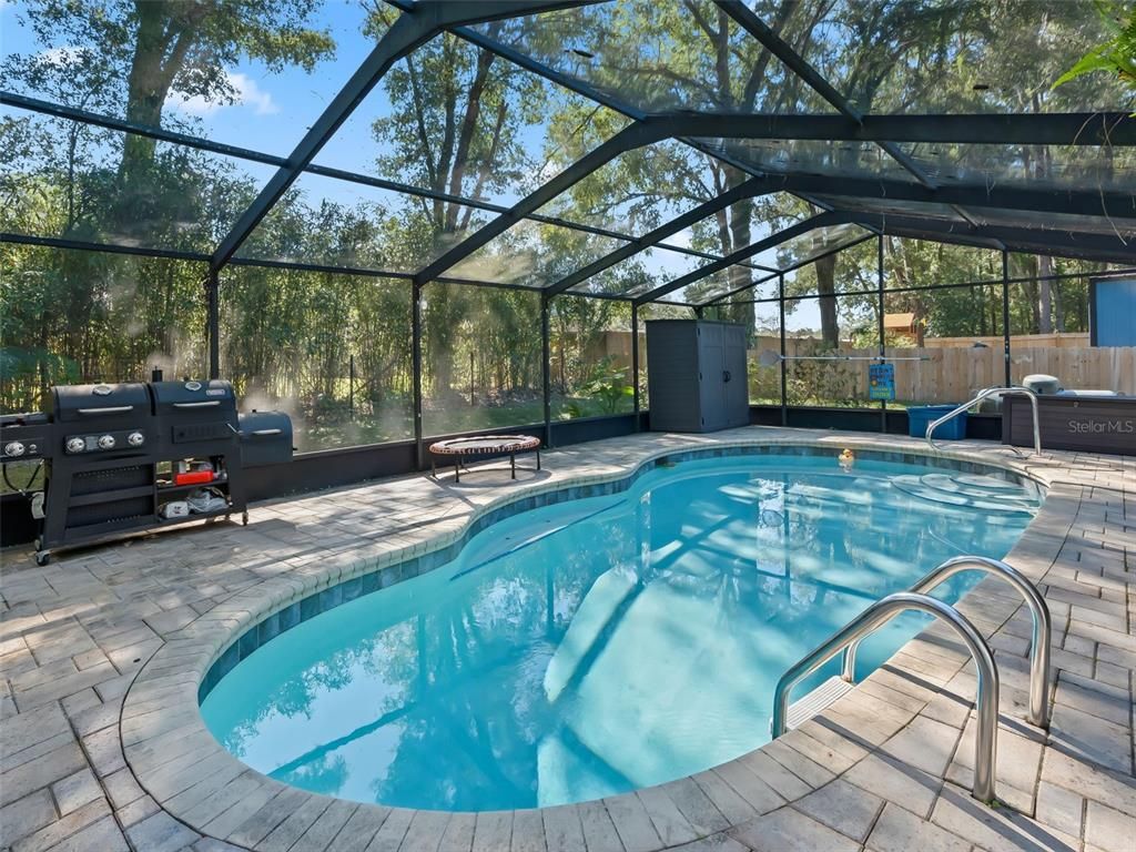 Glass Ceilings, Interior, Pool, Sun Room