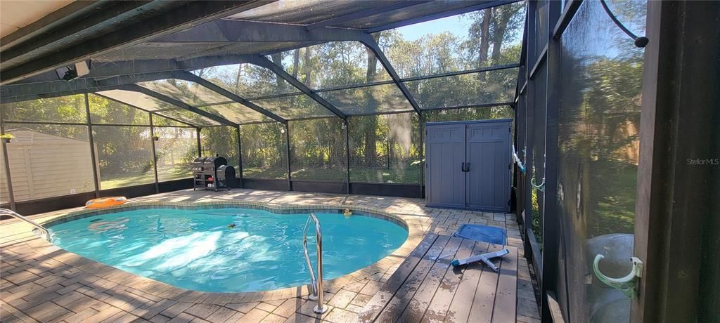 Glass Ceilings, Interior, Pool, Sun Room