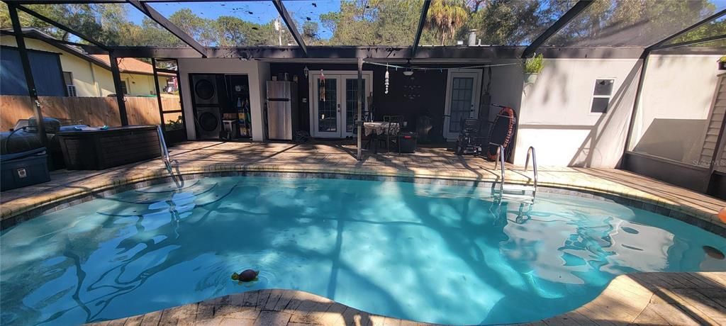 Glass Ceilings, Interior, Pool, Sun Room