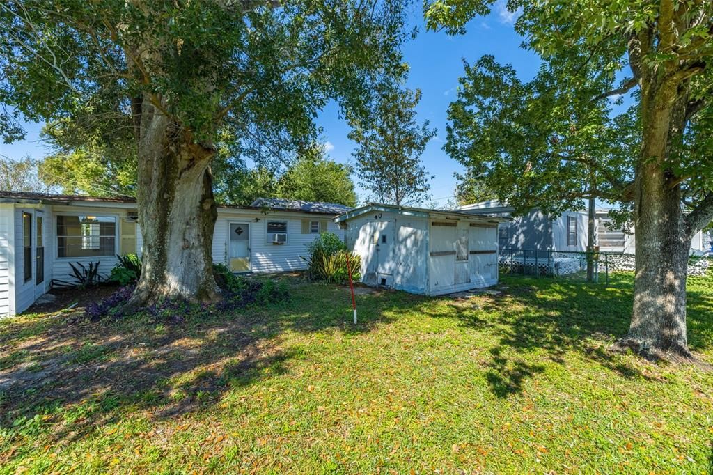 Backyard, Exterior