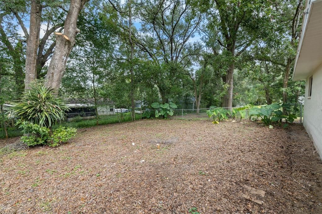 Backyard, Exterior