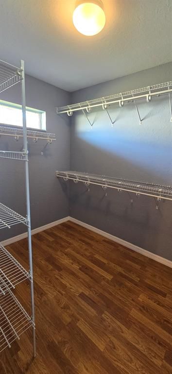 Interior, Walk-in Closets, Wood Texture Flooring