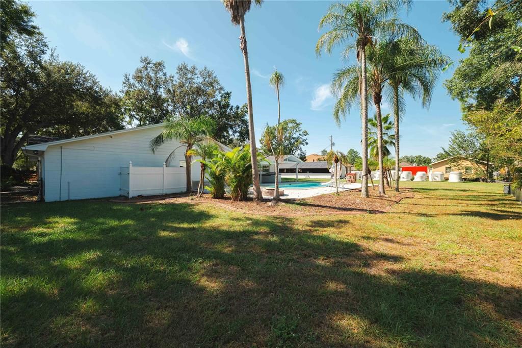 Backyard, Exterior, Pool