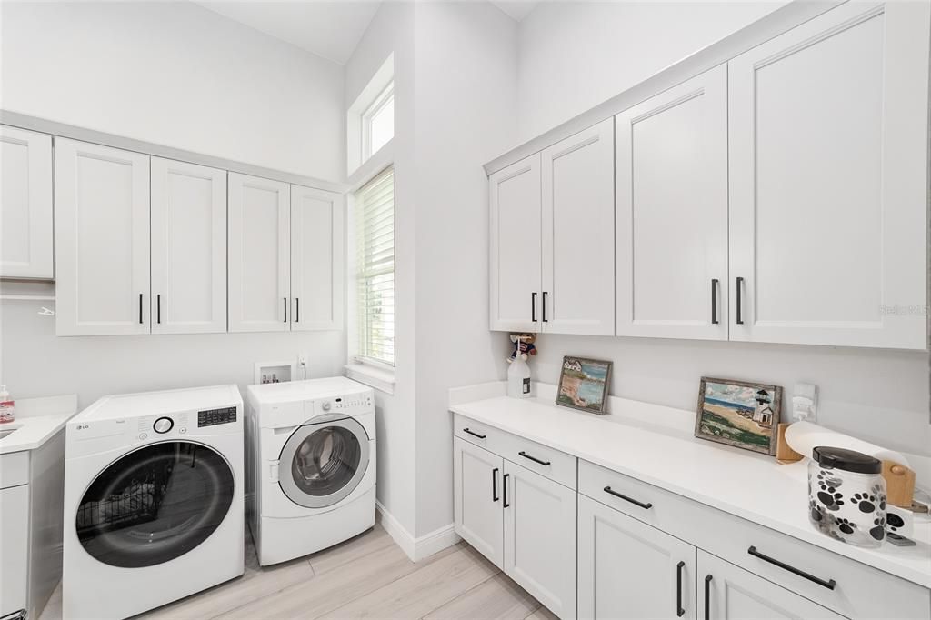 Interior, Washer, Wood Texture Flooring