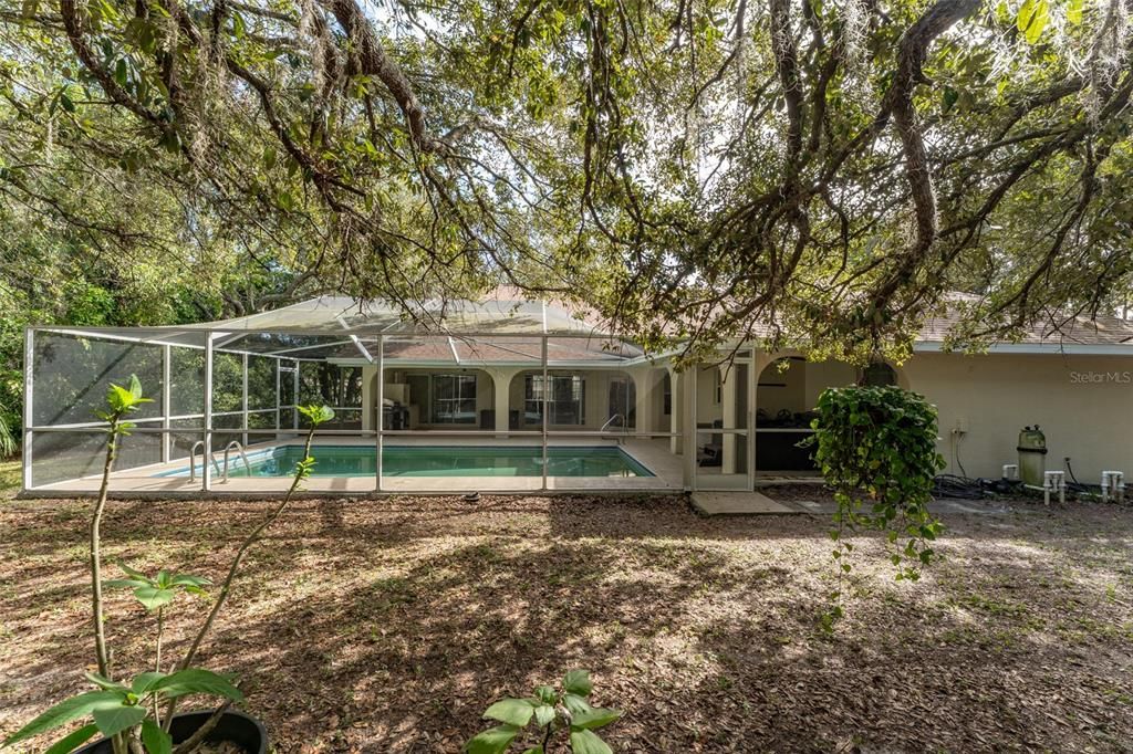 Backyard, Exterior, Pool