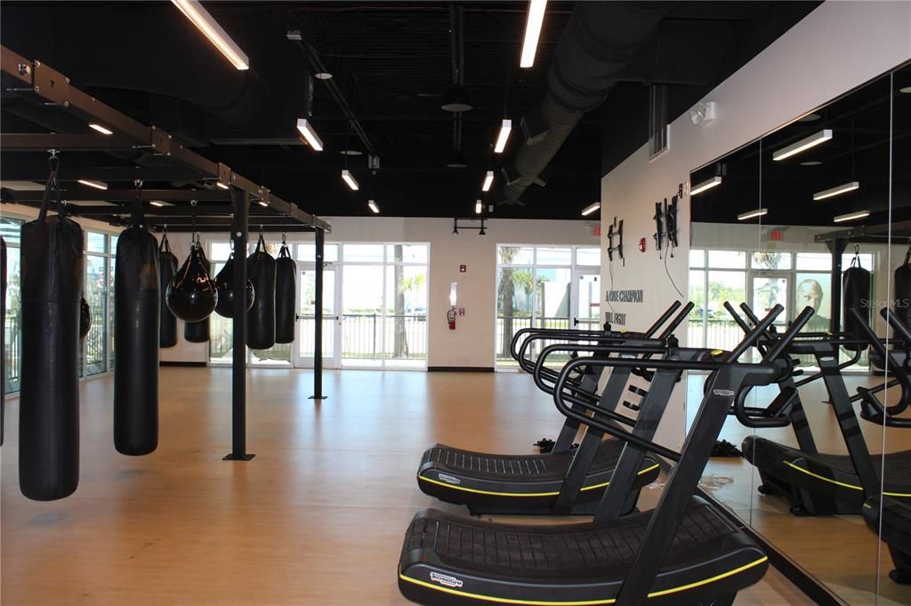 Fitness Equipment, Gym, Interior, Wood Texture Flooring