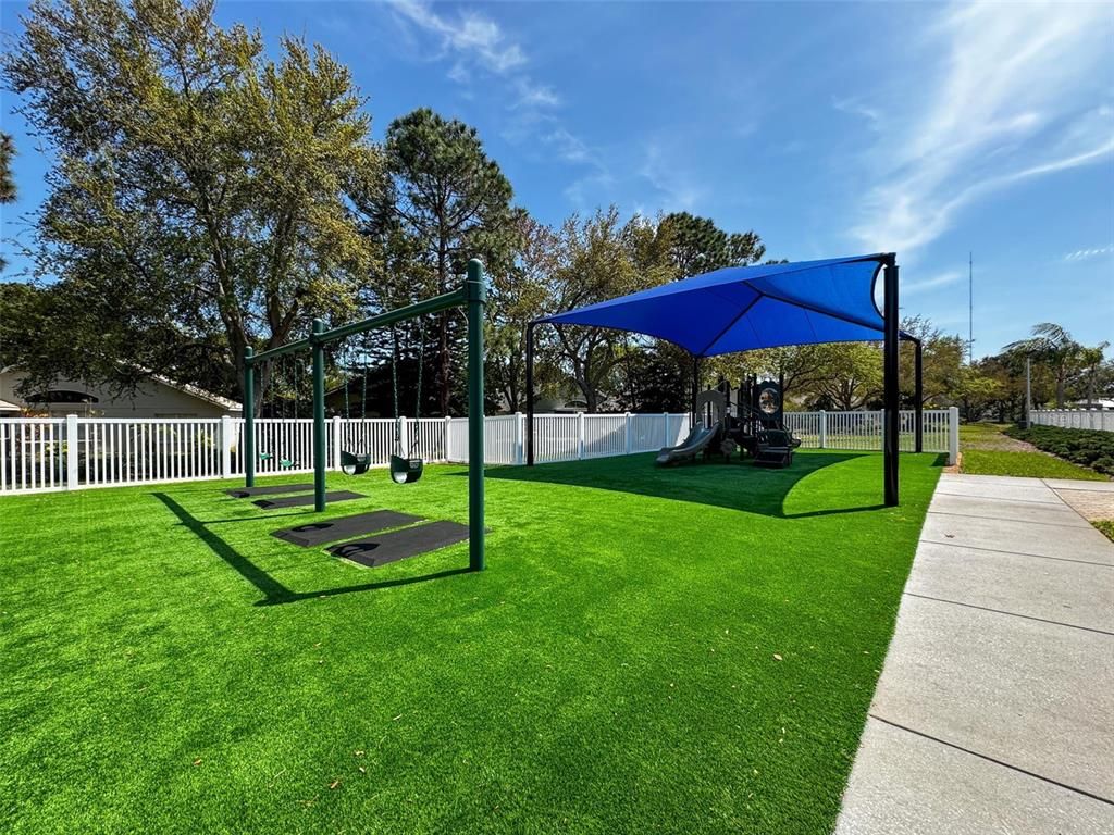 Backyard, Exterior, Playground