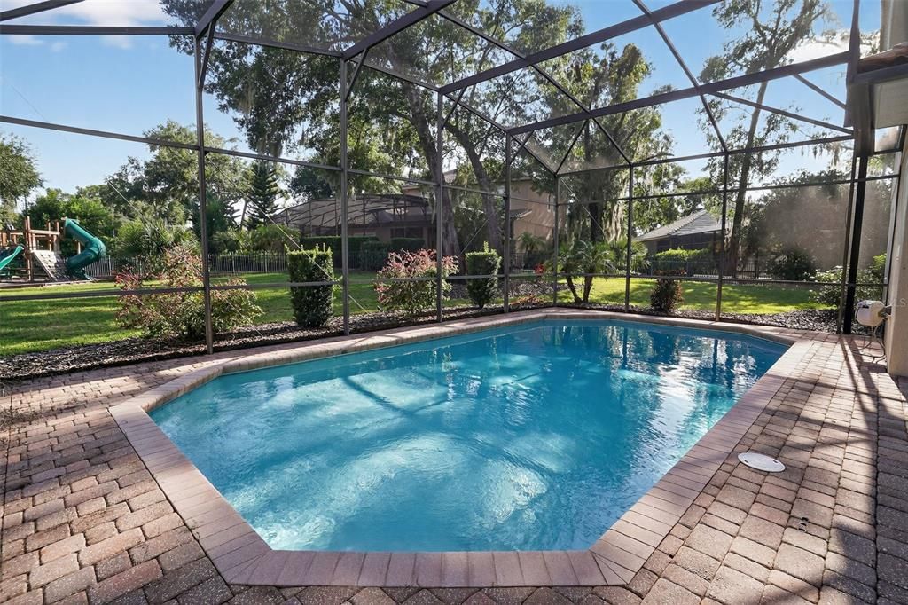 Glass Ceilings, Interior, Playground, Pool, Sun Room
