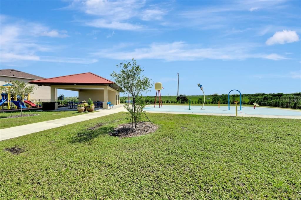 Backyard, Exterior, Playground