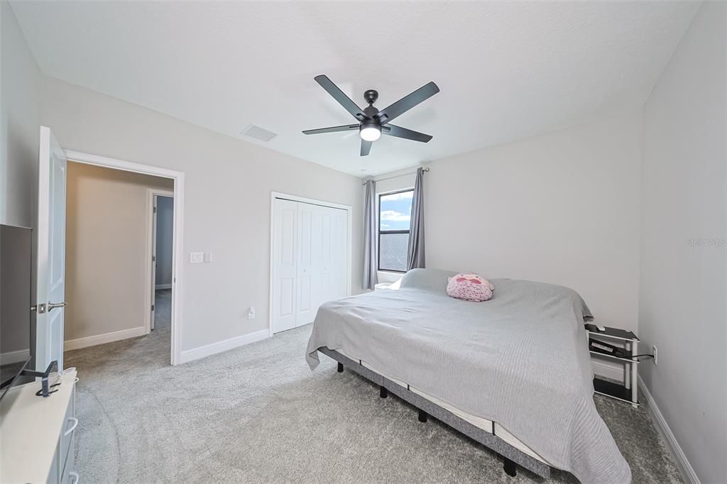 Bedroom, Interior, Water