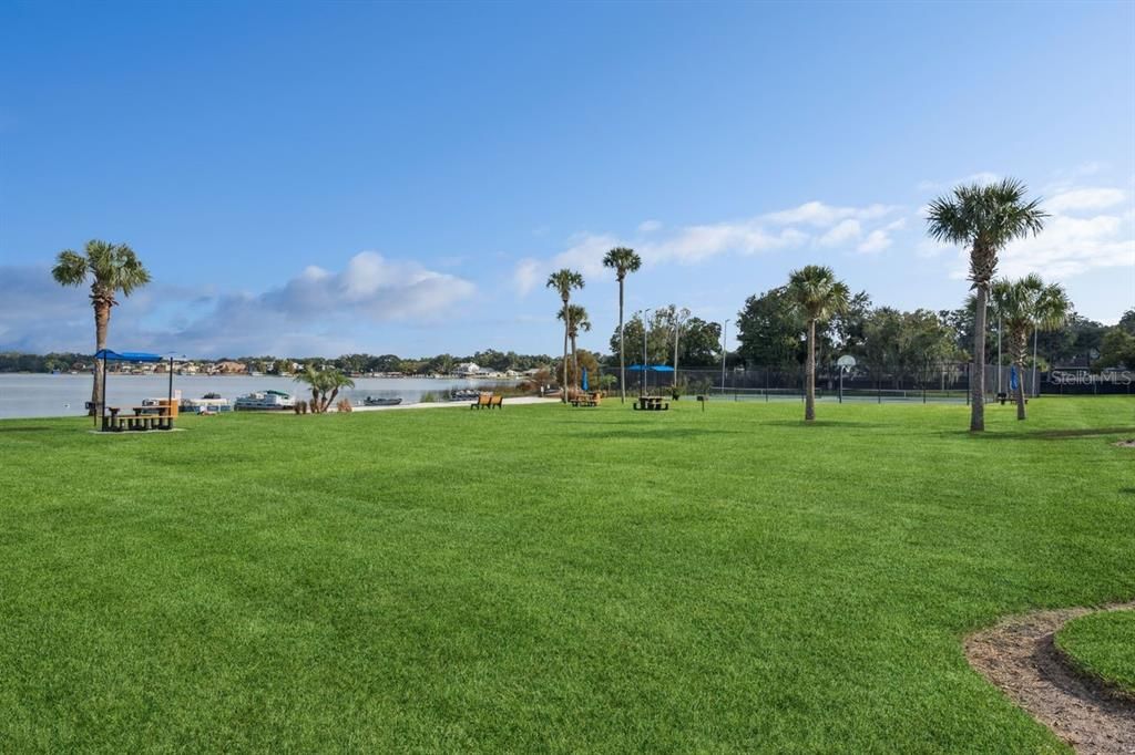 Backyard, Exterior, Playground