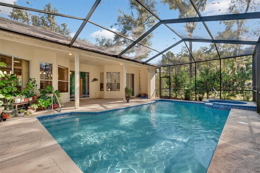 Glass Ceilings, Interior, Pool, Sun Room