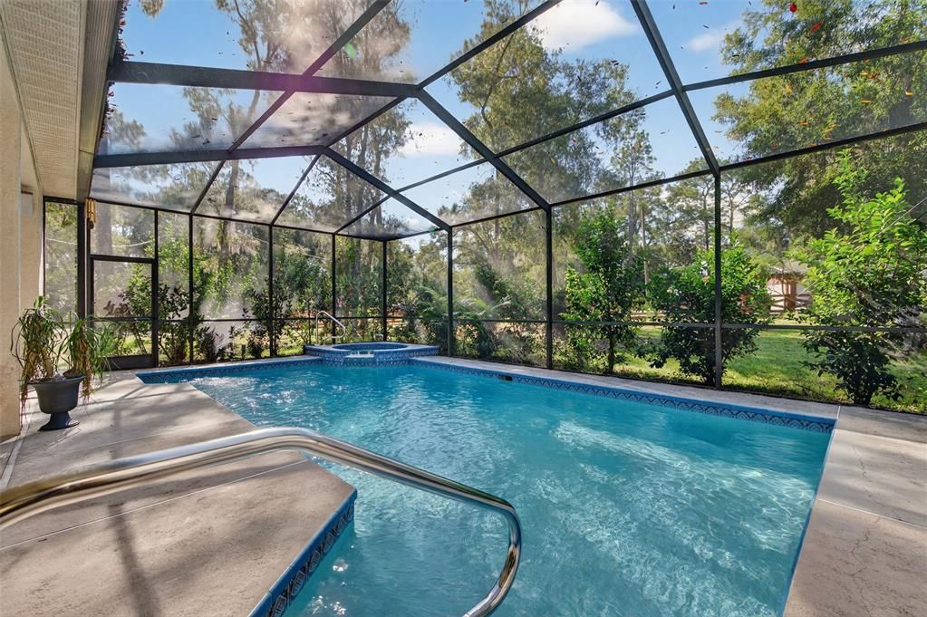 Glass Ceilings, Interior, Pool, Sun Room