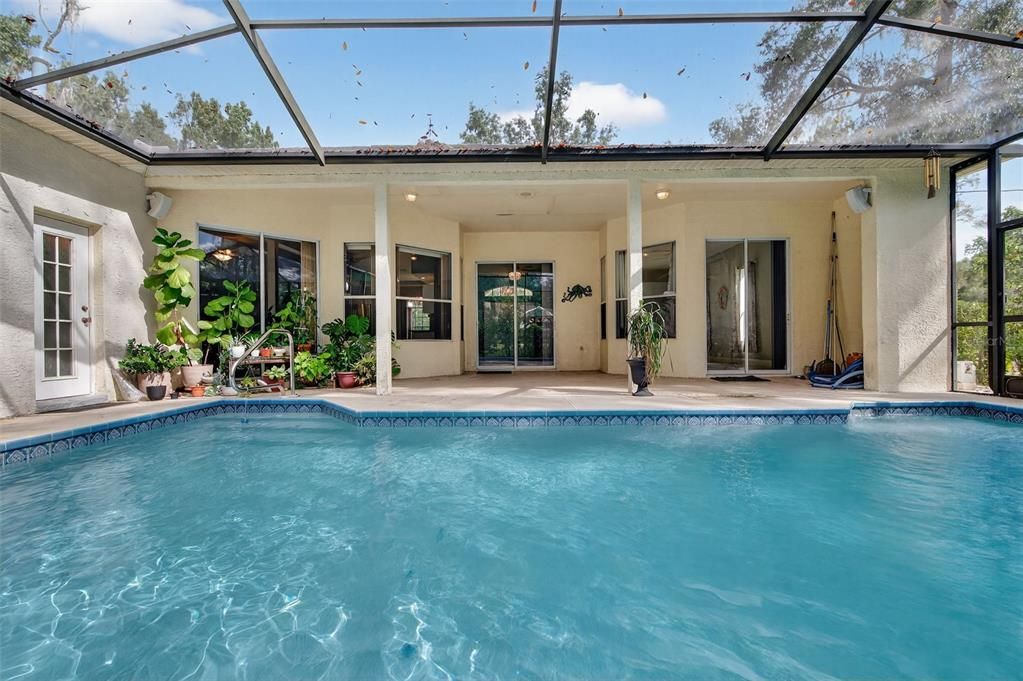 Glass Ceilings, Interior, Pool, Sun Room
