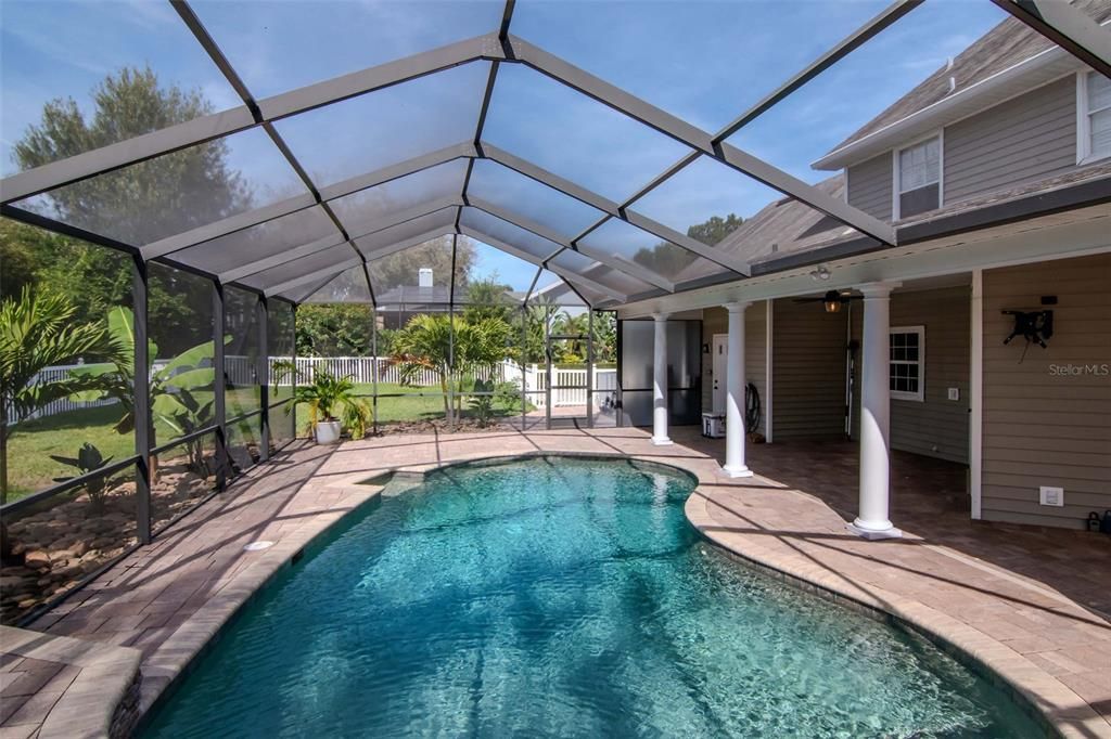 Glass Ceilings, Interior, Pool, Sun Room