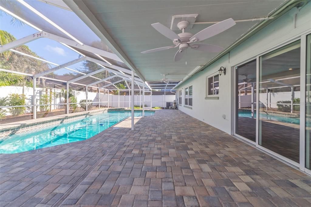 Glass Ceilings, Interior, Pool, Sun Room