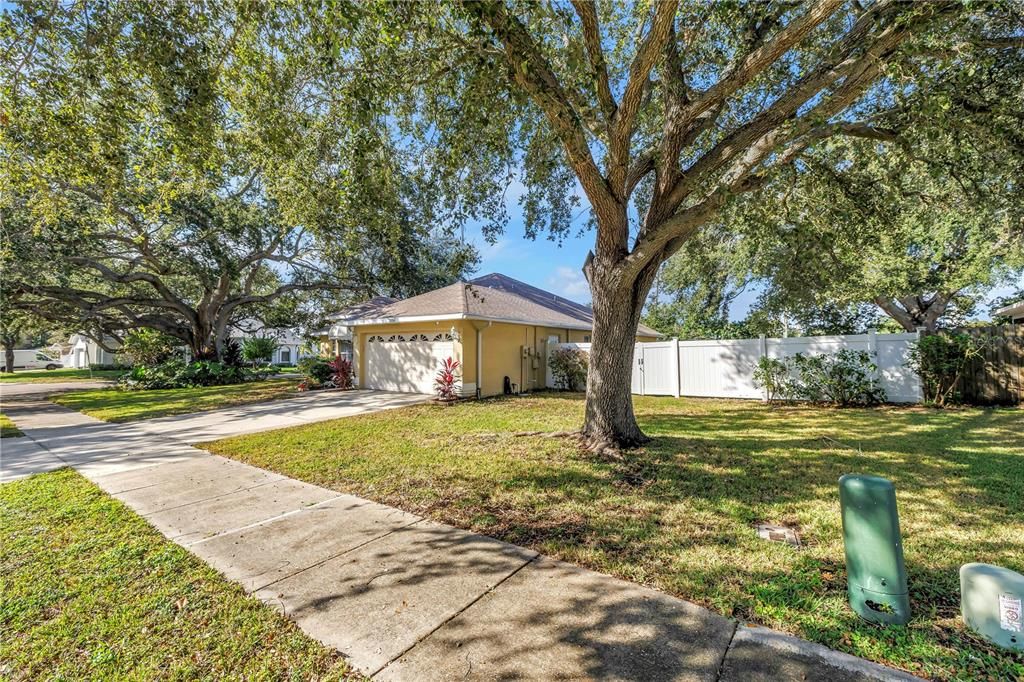 Backyard, Detached Garage, Exterior