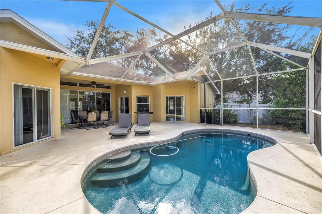 Glass Ceilings, Interior, Pool, Sun Room