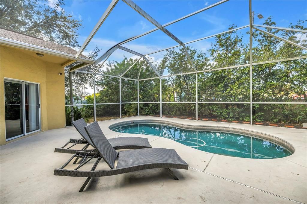 Glass Ceilings, Interior, Pool, Sun Room