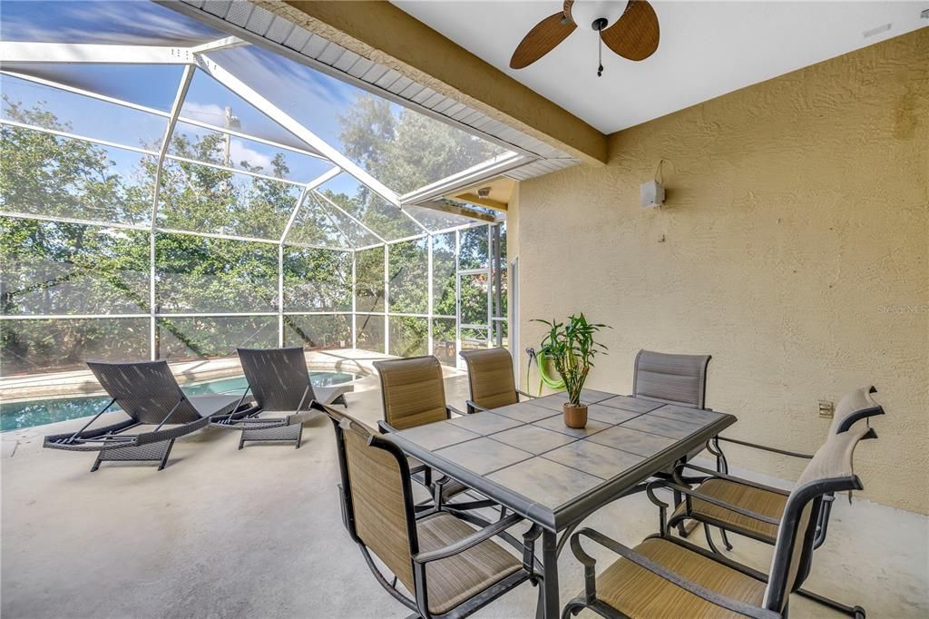 Dining room, Glass Ceilings, Interior, Sun Room