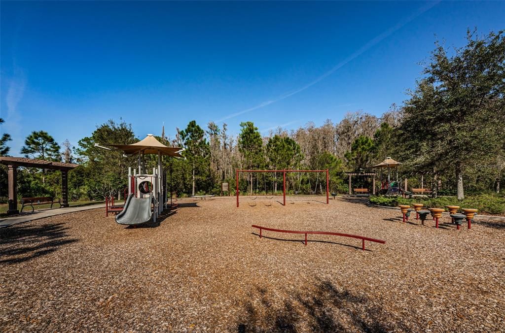Backyard, Exterior, Playground