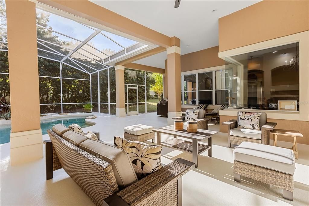 Glass Ceilings, Interior, Living room, Pool, Sun Room