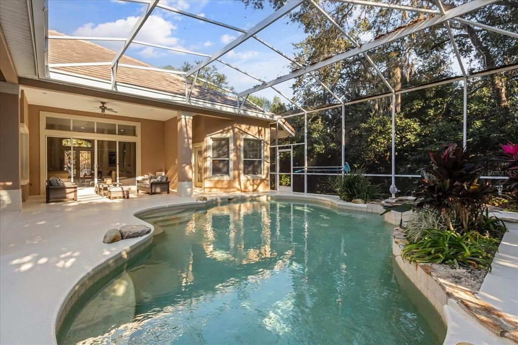 Glass Ceilings, Interior, Pool, Sun Room