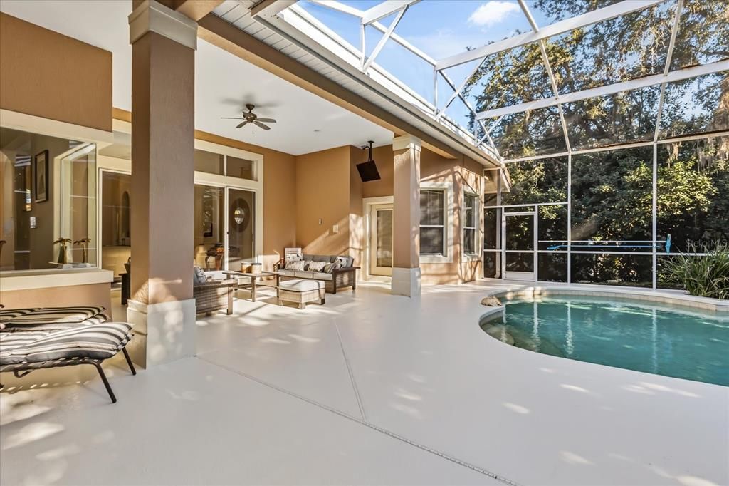 Glass Ceilings, Interior, Pool, Sun Room