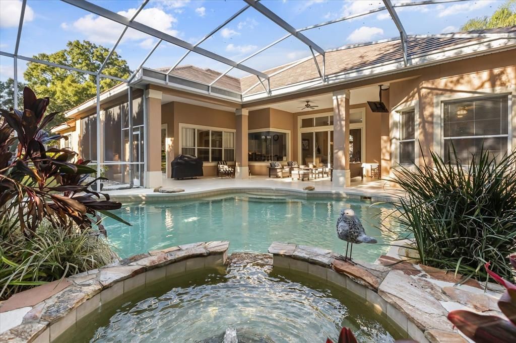 Glass Ceilings, Interior, Pool, Sun Room