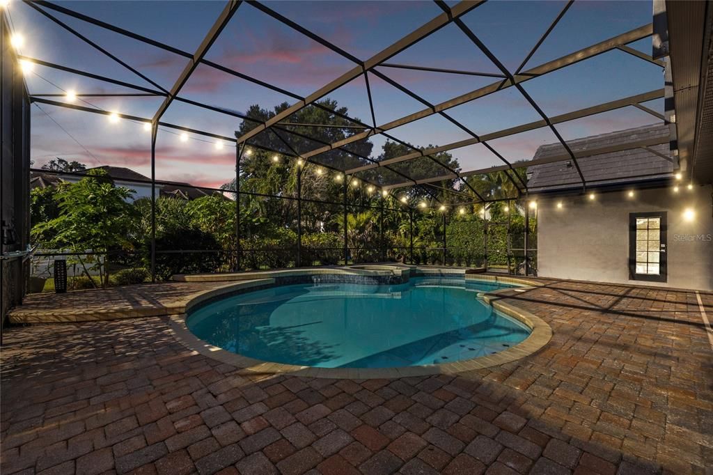 Glass Ceilings, Interior, Pool, Sun Room
