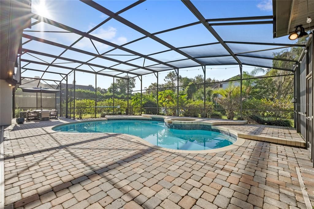 Glass Ceilings, Interior, Pool, Sun Room