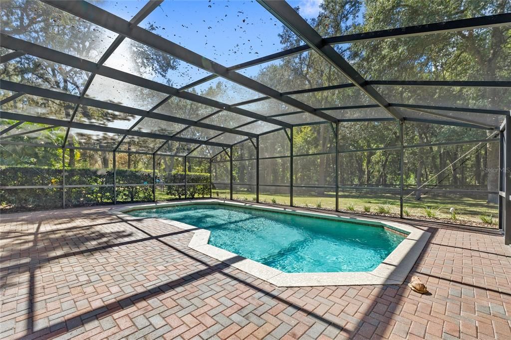 Glass Ceilings, Interior, Pool, Sun Room