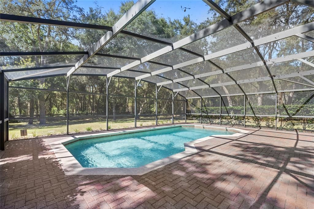 Glass Ceilings, Interior, Pool, Sun Room