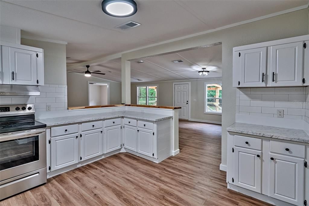 Interior, Kitchen, Stainless Steel Appliances, Wood Texture Flooring
