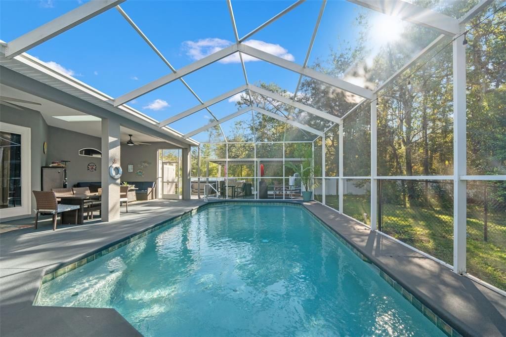 Glass Ceilings, Interior, Pool, Sun Room