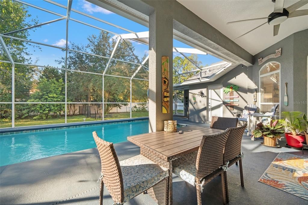 Glass Ceilings, Interior, Pool, Sun Room