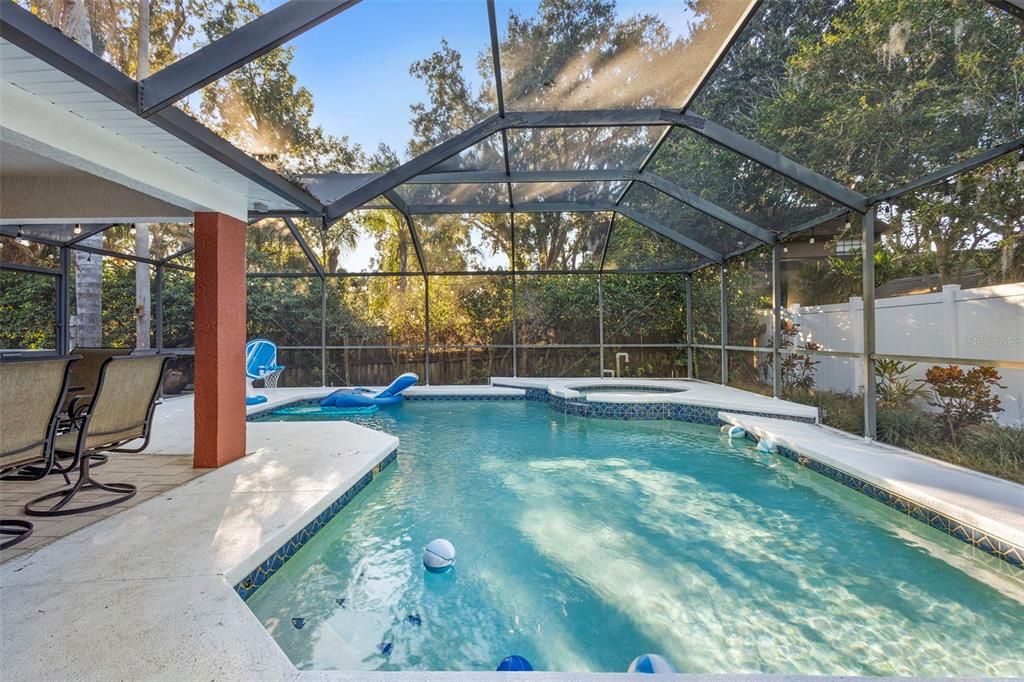 Glass Ceilings, Interior, Pool, Sun Room