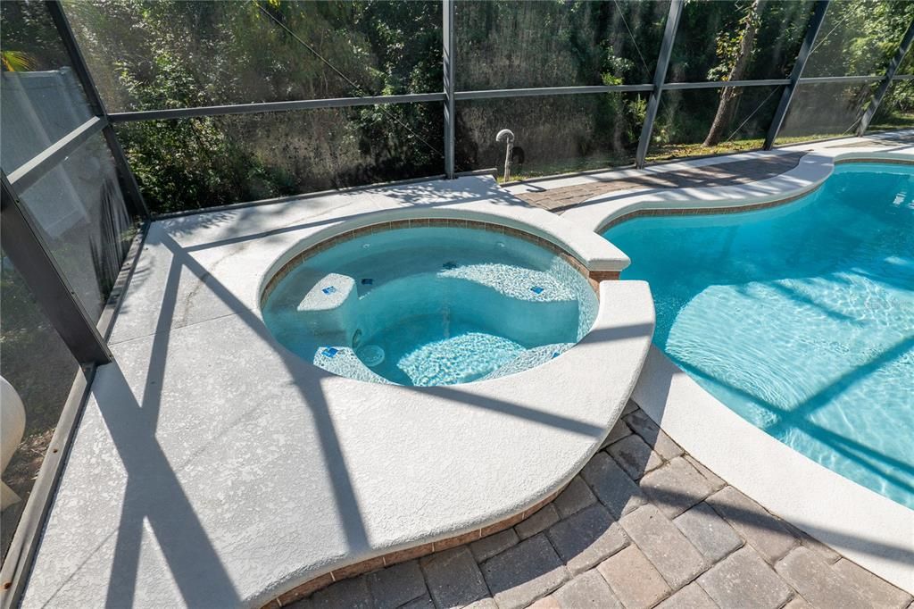 Interior, Pool, Sun Room